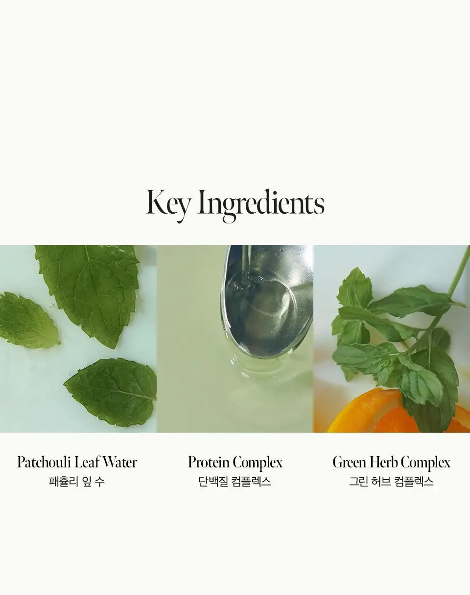 [열보호] 아닐로 패츌리가든 데미지 리페어 샴푸 300ml (기획/단품) 상세페이지 7